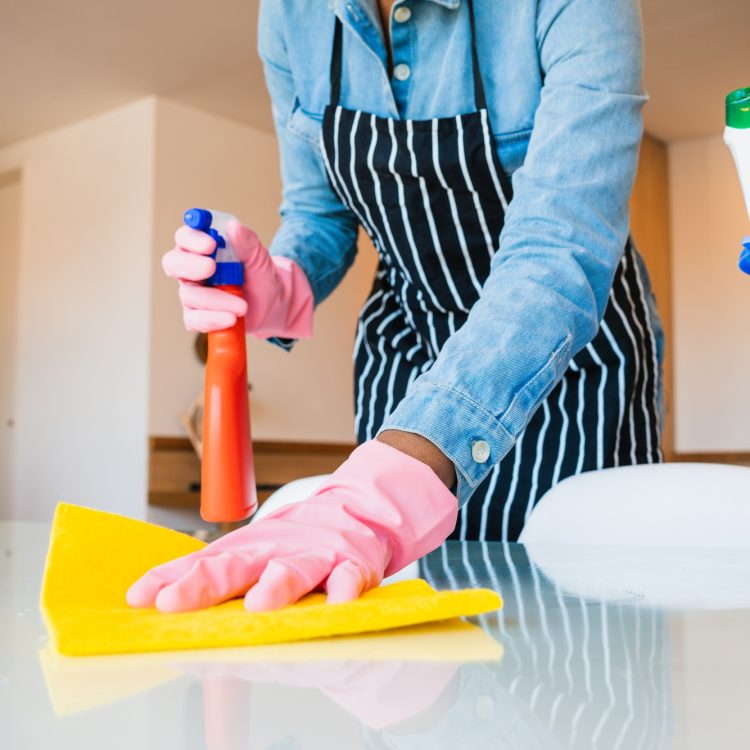 Close-up of woman cleaning her house.